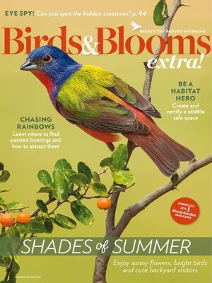 Birds and Blooms Extra - Magazine